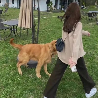 顽皮豹之星